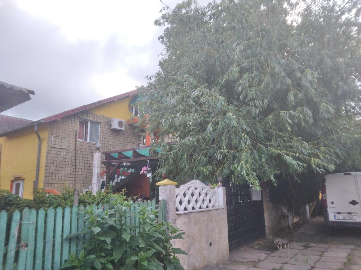 Pensiunea Florentina Costineşti Exterior foto